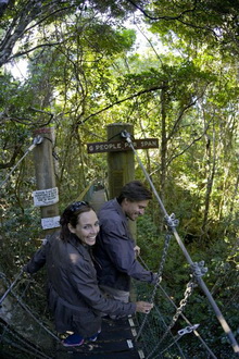 O'Reillys Rainforest Retreat - Tree Top Walk 