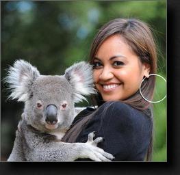 Cuddle a Koala at Australia Zoo