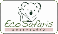 Personalised Wine and Nature Safaris from Gold Coast & Brisbane Hinterland Day Tours