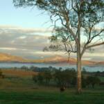 Morning, Scenic Rim