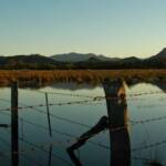 Mt Alford, Scenic Rim