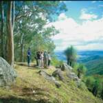 O'Reilly's Rainforest Retreat
