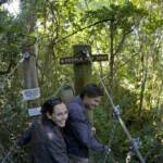 O'Reilly's Rainforest Retreat