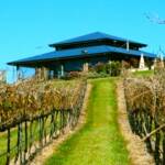 Restaurant through the Vines