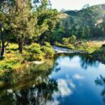 Scenic Rim Creek