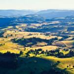 Scenic Rim Farmland