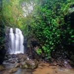 Scenic Rim Waterfall