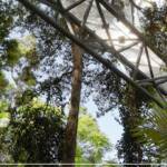 Skywalk Tamborine Mountain