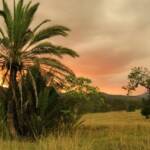 Sunset at Mt Alford, Scenic Rim