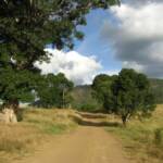 Country Road, Scenic Rim