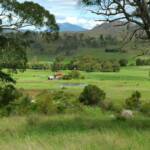 Farmland, Scenic Rim