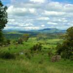 Looking from Mt Alford, Scenic Rim