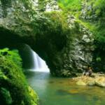 Natural  Bridge - Springbrook Rainforest