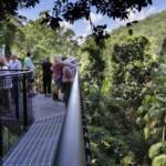 Tambourine Skywalk